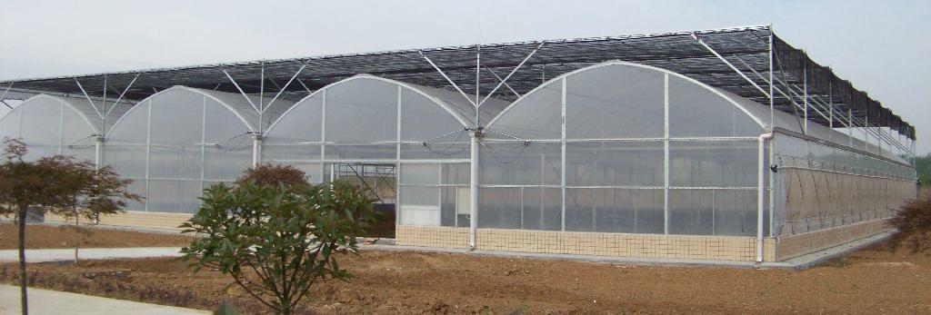 黑水虻养殖房