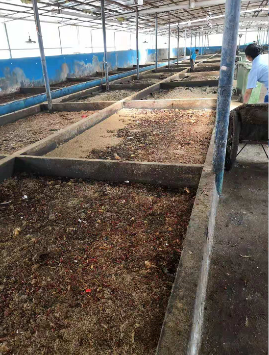 黑水虻养殖房